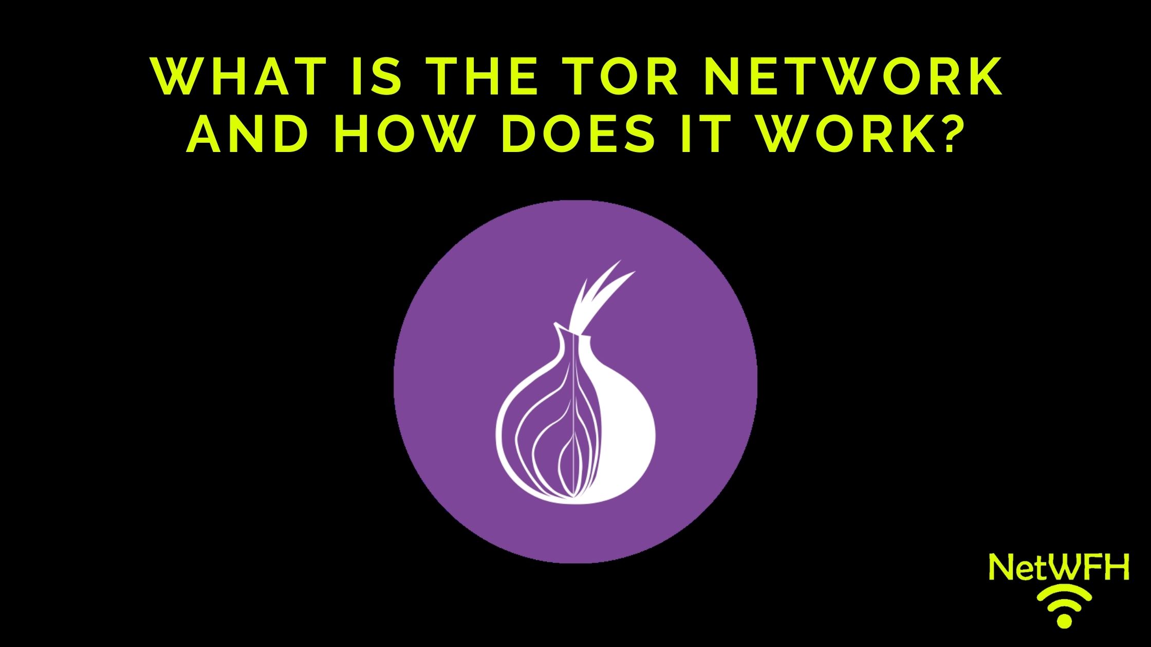 What is the Tor Network and How Does it Work?