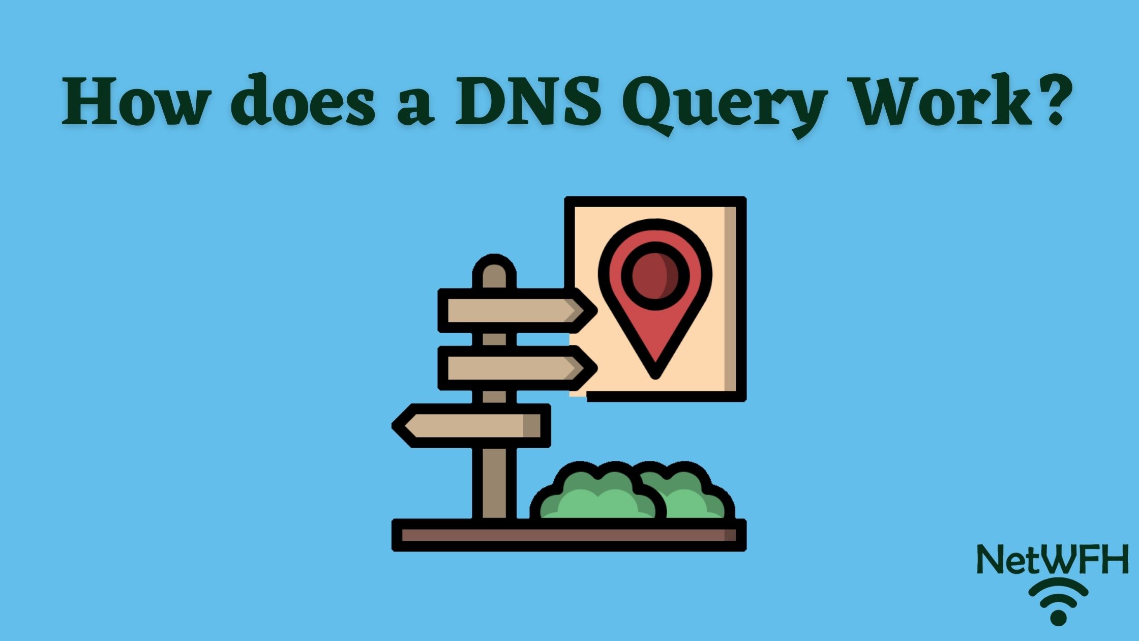 How Does a DNS Query Work?
