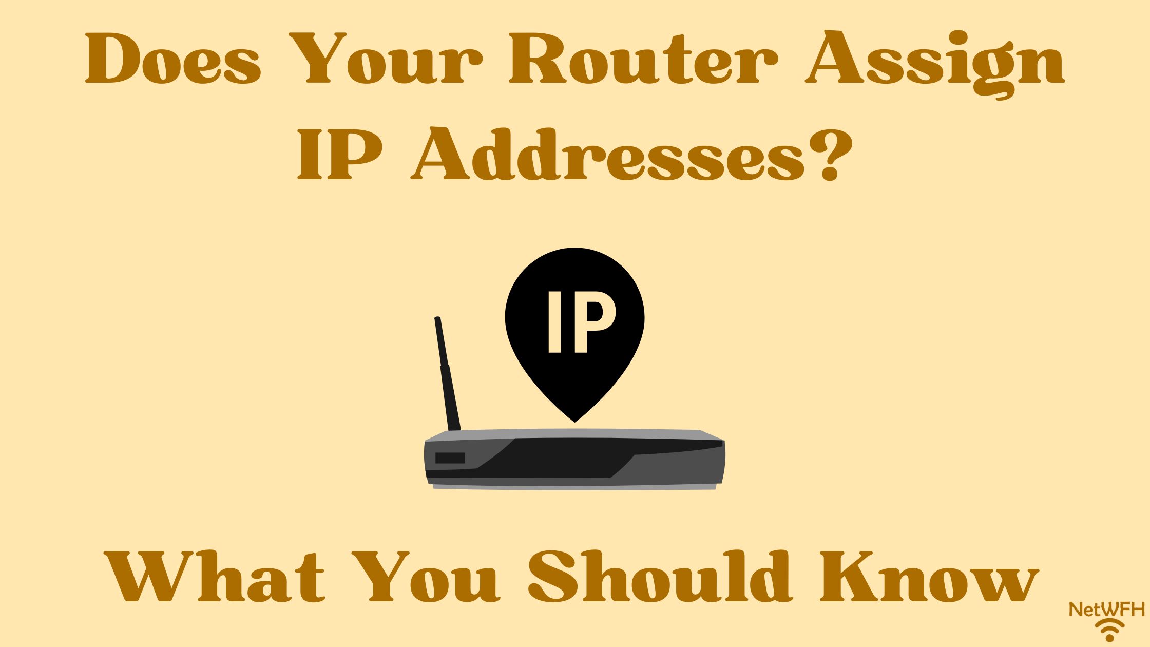 Does Your Router Assign IP Addresses? What You Should Know
