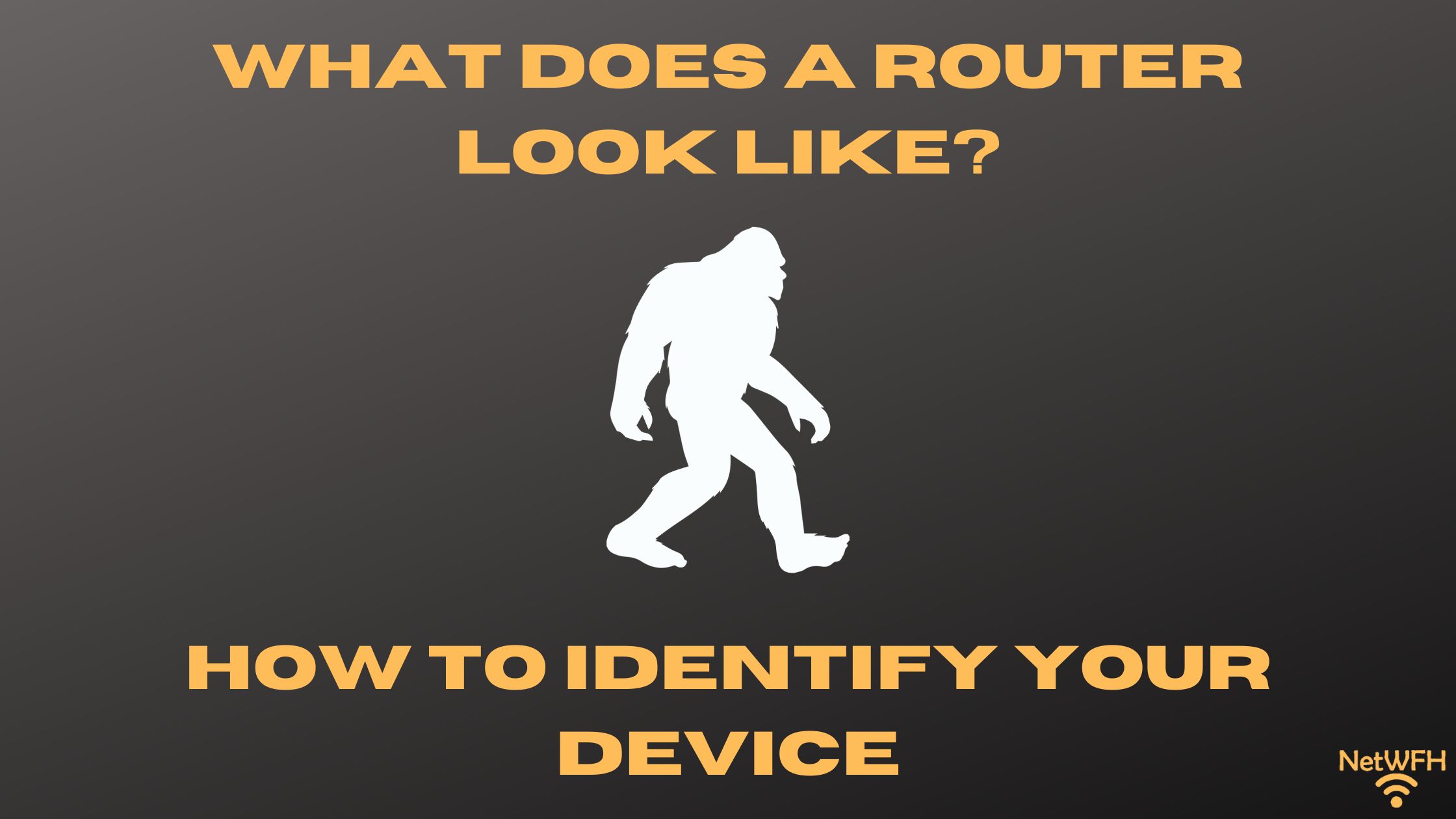 What Does a Router Look Like? How to Identify Your Device